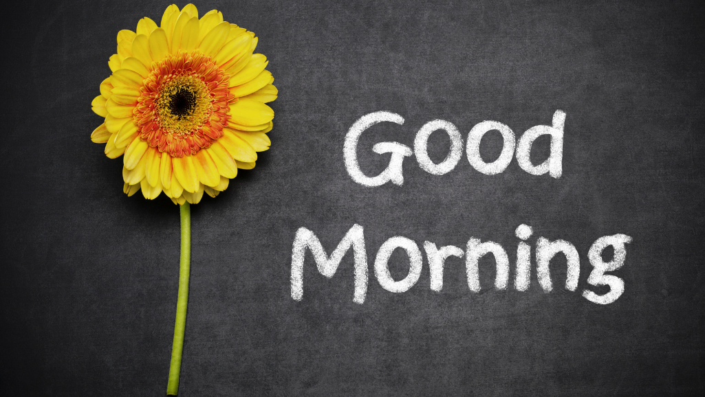 good morning