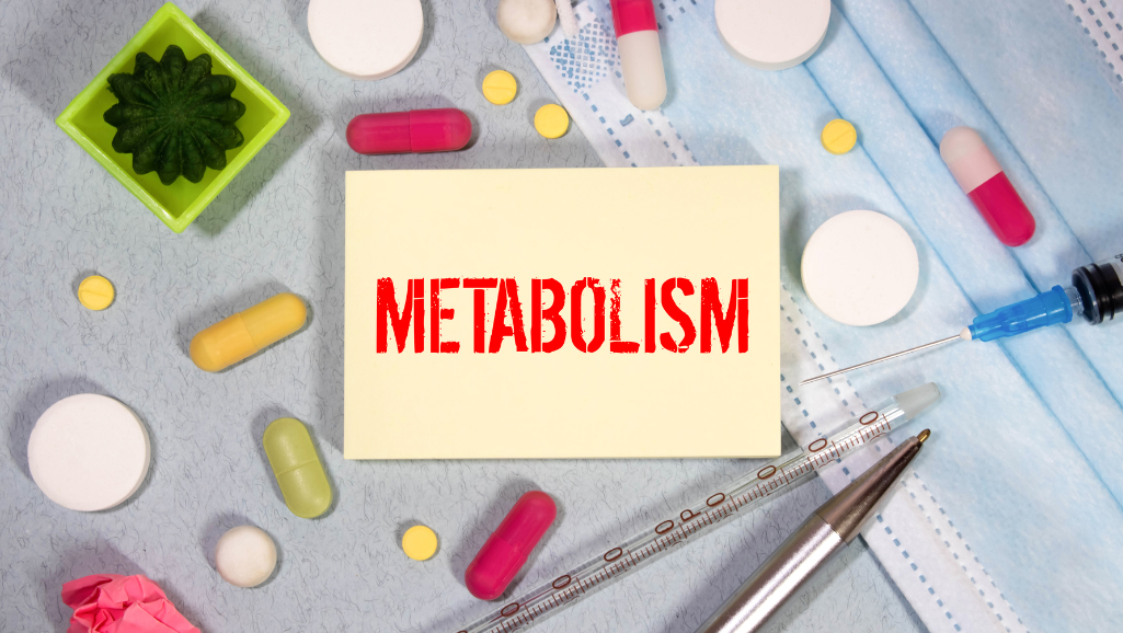 hydration and metabolism