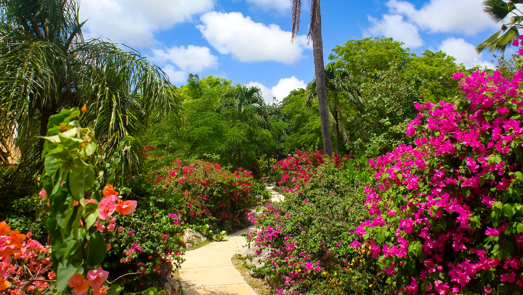 A serene garden oasis, with lush greenery and vibrant flowers, serves as the backdrop for a person in the foreground, sitting cross-legged and meditating. Diffused sunlight filters through the foliage, casting a warm, soothing glow. The figure's expression is one of calm and focus, embodying the strength to overcome anxiety. In the middle ground, a path winds through the garden, symbolizing the journey towards resilience. The overall atmosphere is one of tranquility, inner peace, and the power to confront and conquer the challenges of long-term anxiety.