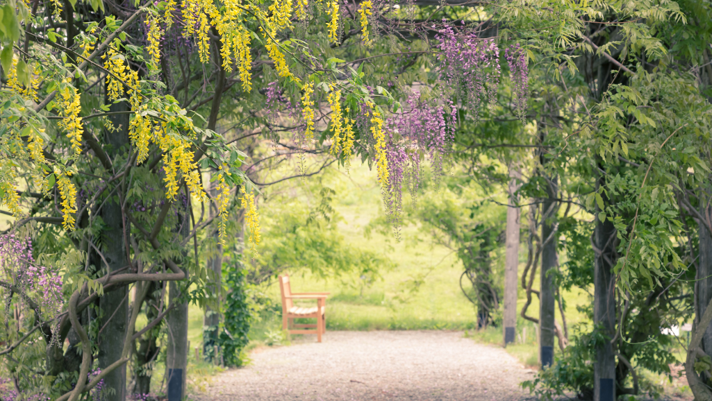 A serene, peaceful garden setting with lush foliage and a tranquil pond. In the foreground, a person sits cross-legged in a meditative pose, eyes closed, exuding a sense of calm and inner focus. The middle ground features a variety of self-care tools and techniques, such as a journal, essential oils, and a mug of herbal tea. In the background, a softly lit sky with wispy clouds creates a calming, soothing atmosphere. The entire scene is bathed in warm, natural lighting, conveying a sense of harmony and well-being.