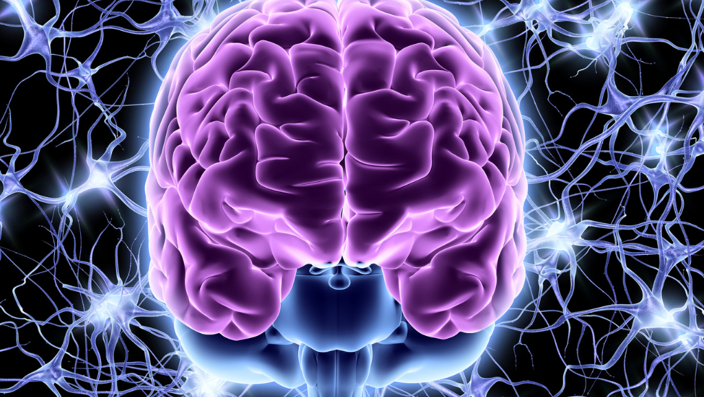 A detailed cross-section of the human brain, highlighting the complex neural pathways and chemical reactions associated with anxiety. In the foreground, a network of synapses and neurotransmitters like serotonin, dopamine, and norepinephrine pulsate with vivid colors. The middle ground features a detailed anatomical rendering of the limbic system, amygdala, and prefrontal cortex, illustrating the interplay between emotional processing and cognitive control. In the background, a subtle overlay of neuronal impulses and electrical activity creates a sense of dynamic energy and tension. The lighting is a mix of warm and cool tones, casting dramatic shadows that add depth and dimension to the image. The overall mood conveys the scientific complexity and physiological impact of the stress-anxiety connection.