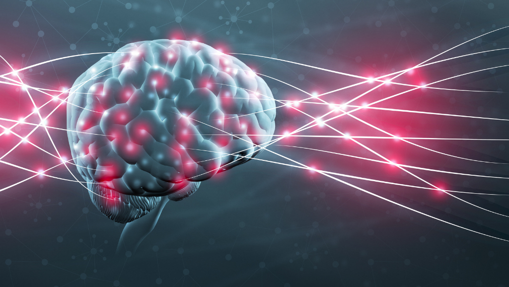 A high-resolution, detailed illustration showcasing the intricate connection between the brain and the immune system. In the foreground, a cross-section of the brain reveals the neural pathways and glial cells, while the immune system is represented by a network of lymphocytes, macrophages, and cytokines. In the middle ground, the two systems intertwine, with arrows and lines depicting the bidirectional communication and regulation between the brain and the immune response. The background features a subtly rendered anatomical diagram, highlighting the physiological mechanisms underlying this vital relationship. The overall composition conveys a sense of scientific depth and visual elegance, suitable for a medical or educational context.